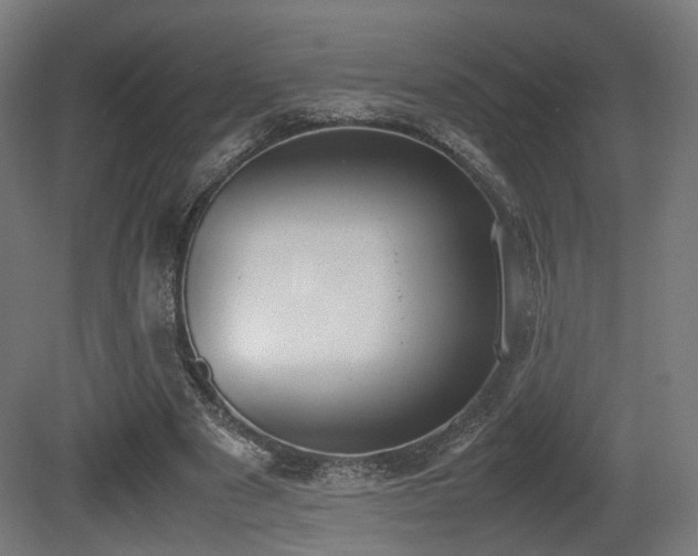 X0000081270489200701111310