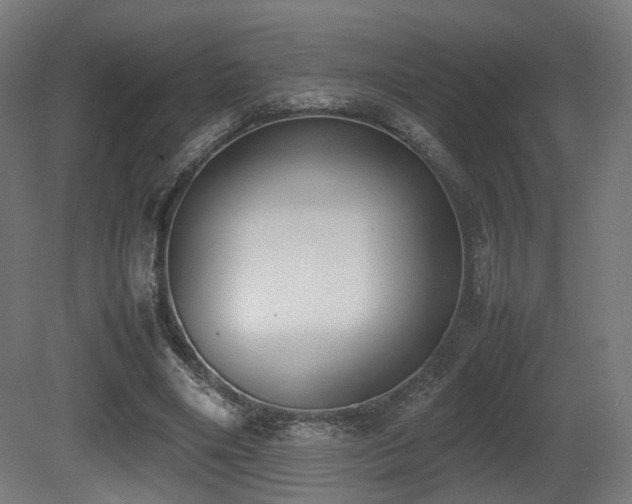 X0000081270490200701111310