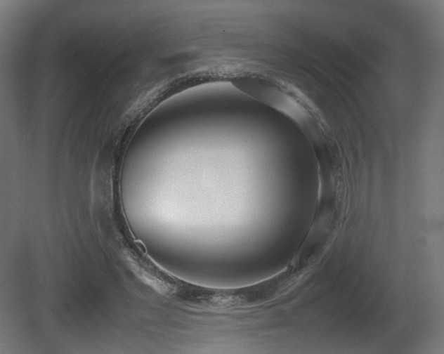 X0000081270493200701111310