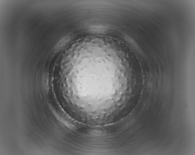 X0000081270494200701111310