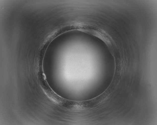 X0000081270496200701111310