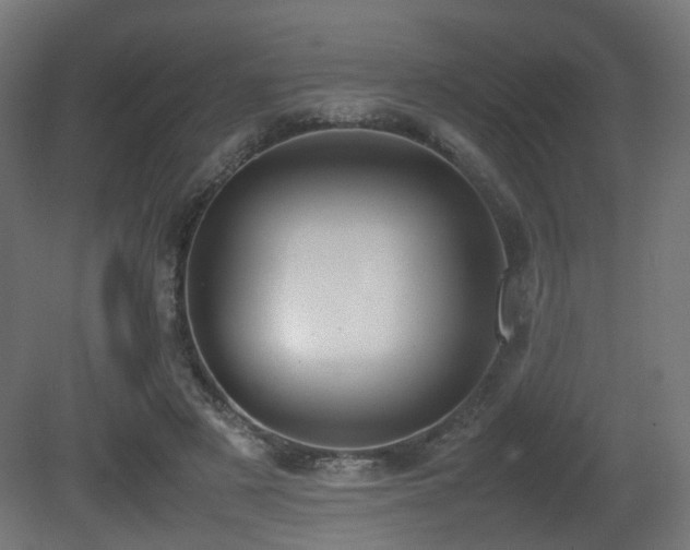 X0000081270497200701111310