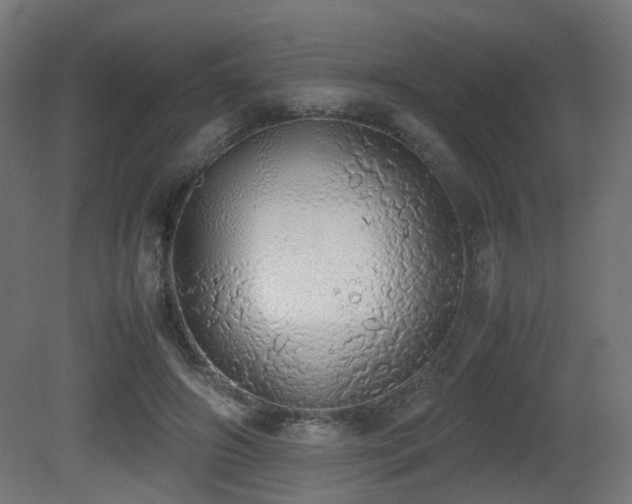 X0000081270498200701111310