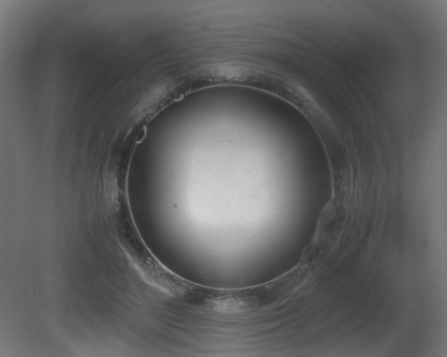X0000081270500200701111310