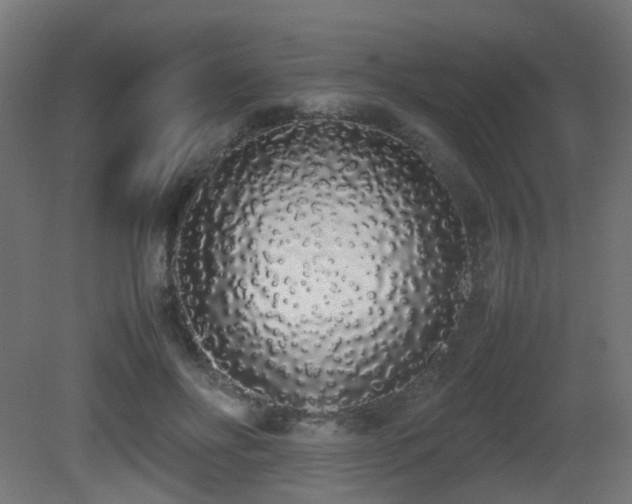 X0000081270502200701111310