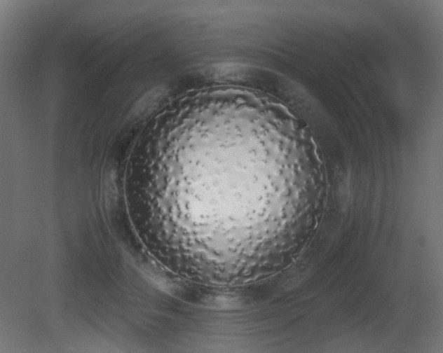 X0000081270506200701111310
