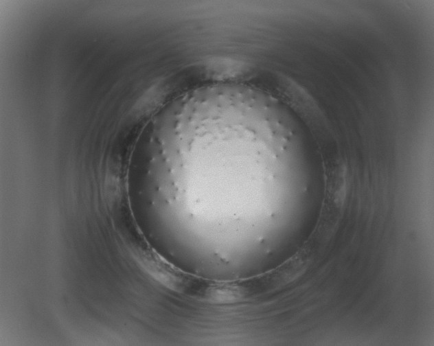 X0000081270510200701111309