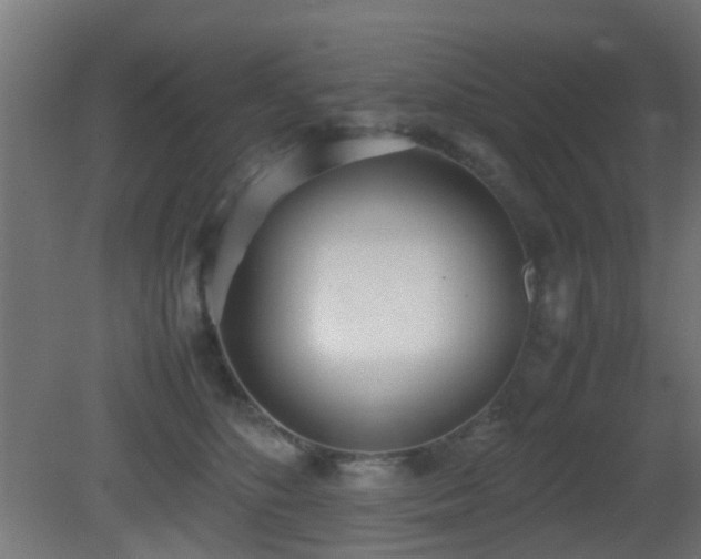X0000081270516200701111309
