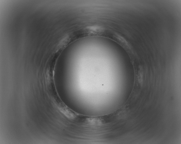 X0000081270520200701111309