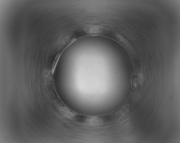 X0000081270521200701111309