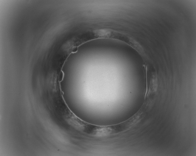 X0000081270525200701111309