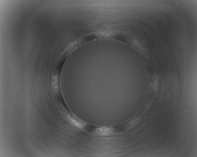X0000081270526200701111309