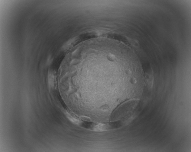 X0000081270527200701111309