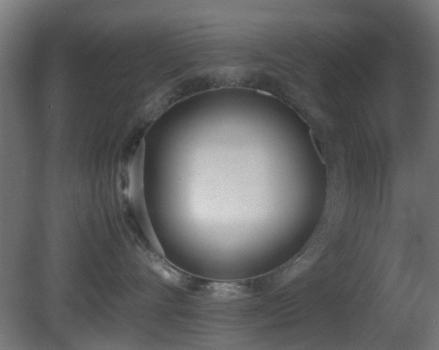 X0000081270528200701111309