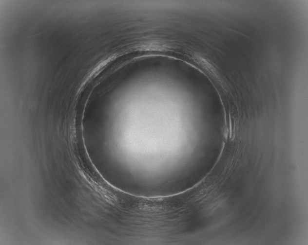 X0000081270531200701111308