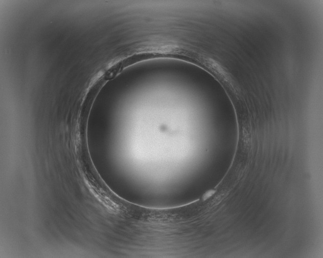 X0000081270532200701111308