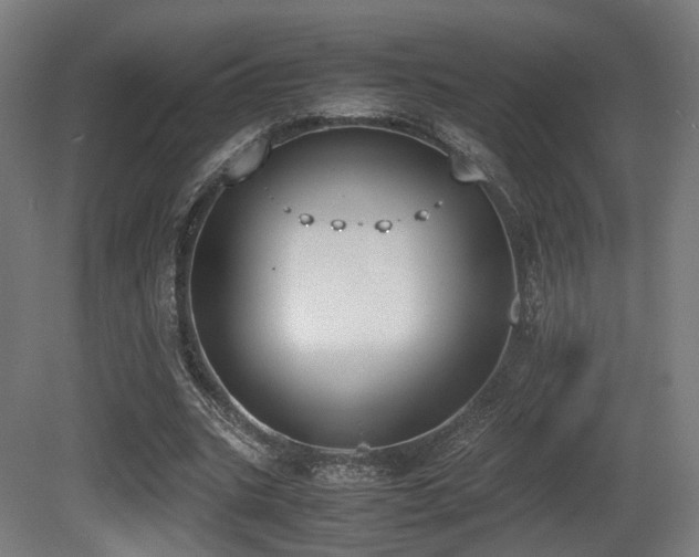X0000081270535200701111308