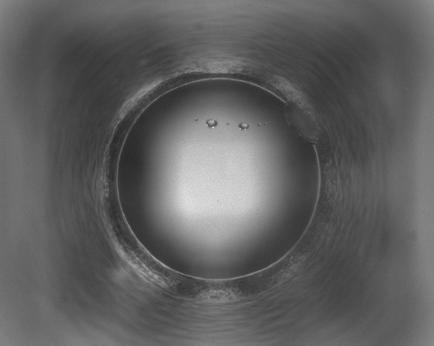 X0000081270536200701111308