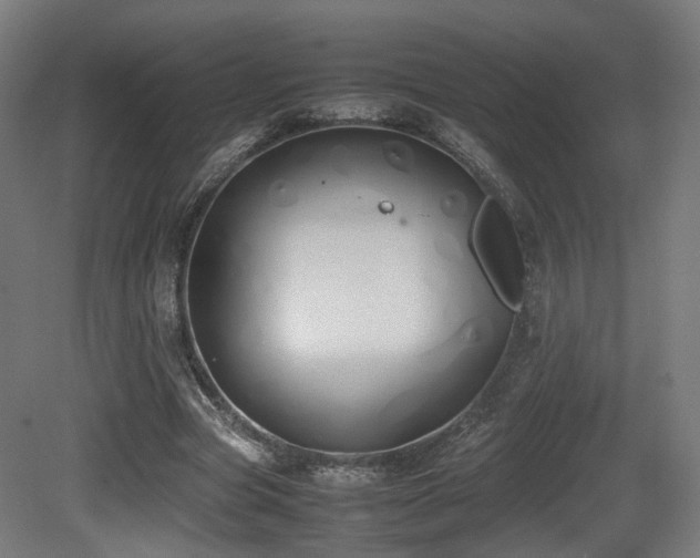 X0000081270537200701111309
