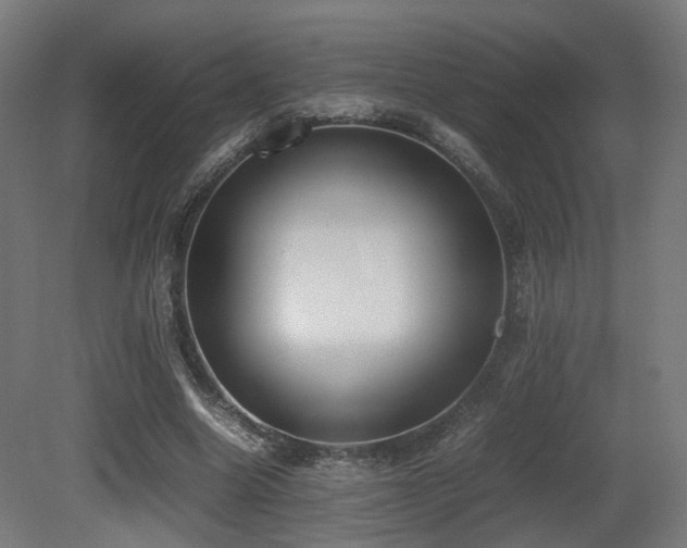 X0000081270538200701111309