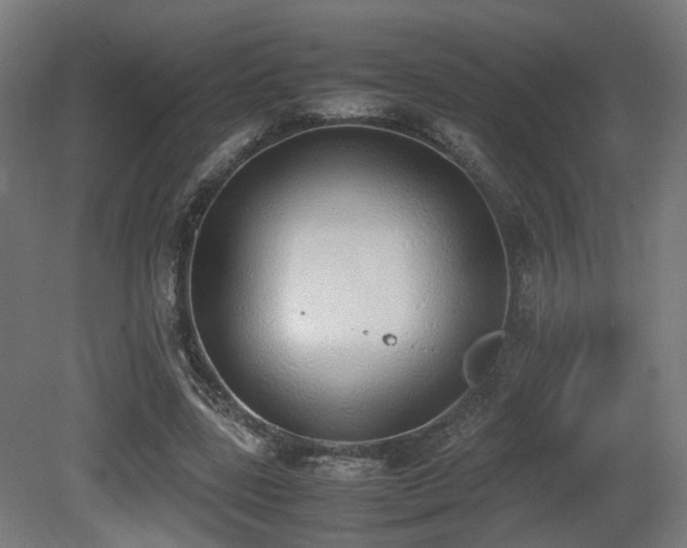 X0000081270539200701111309