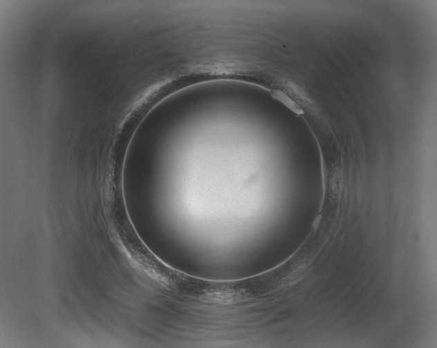 X0000081270540200701111309