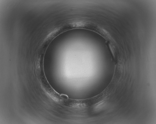 X0000081270543200701111309