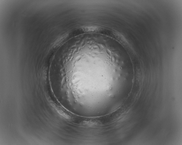 X0000081270545200701111309