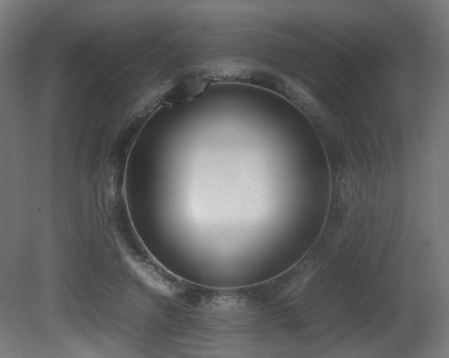 X0000081270546200701111309