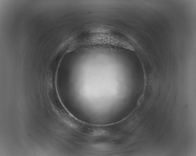 X0000081270547200701111309