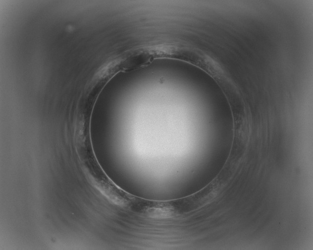 X0000081270548200701111309