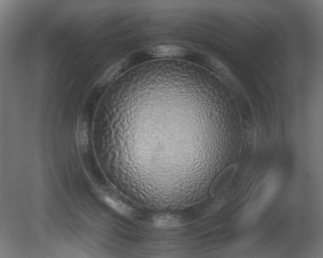 X0000081270549200701111309