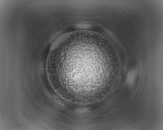 X0000081270551200701111309