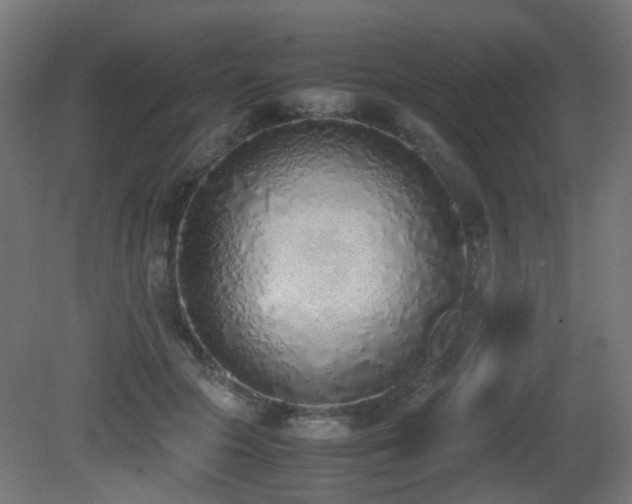 X0000081270553200701111309