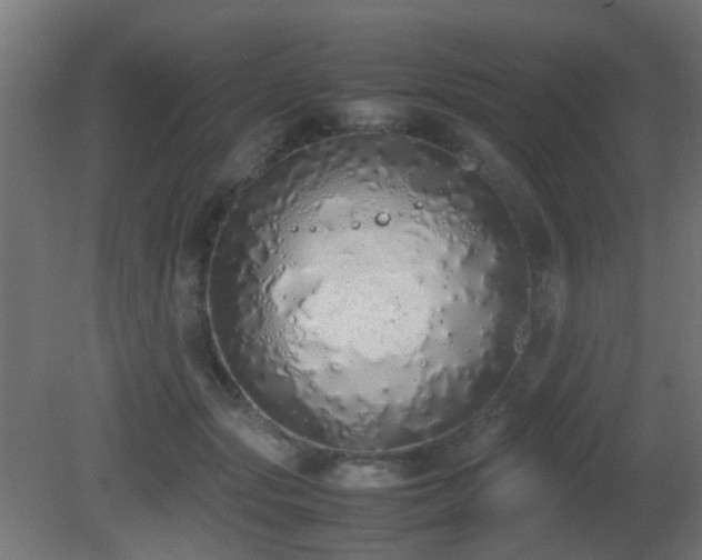 X0000081270557200701111309