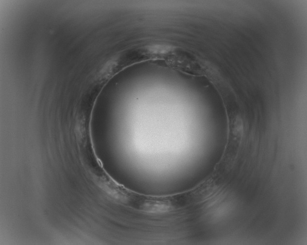X0000081270559200701111309