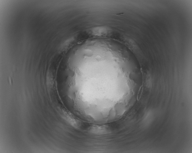 X0000081270569200701111309