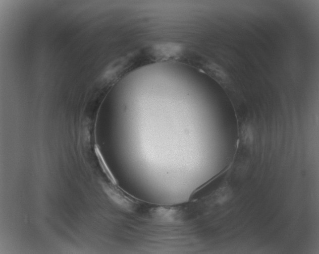 X0000081270570200701111309