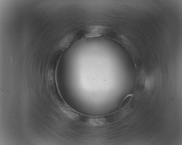 X0000081270571200701111309