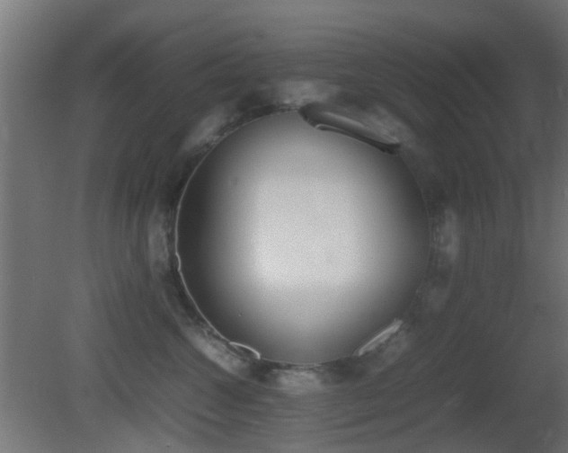 X0000081270572200701111309