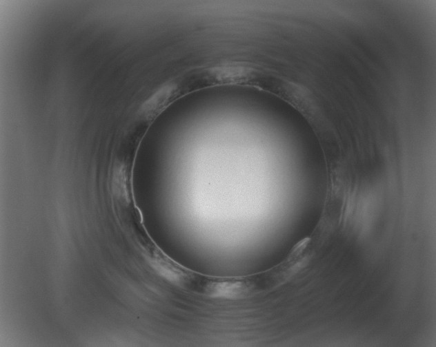 X0000081270575200701111309