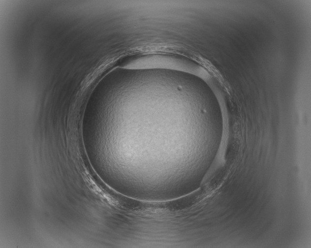 X0000081270577200701111308