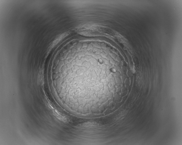X0000081270578200701111308