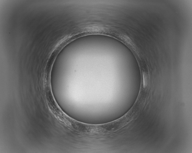 X0000081270579200701111308