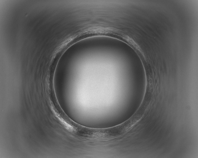 X0000081270581200701111308
