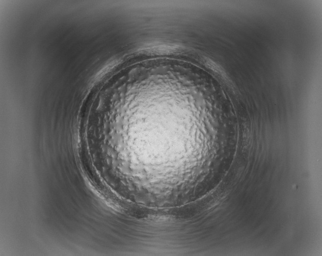 X0000081270582200701111308