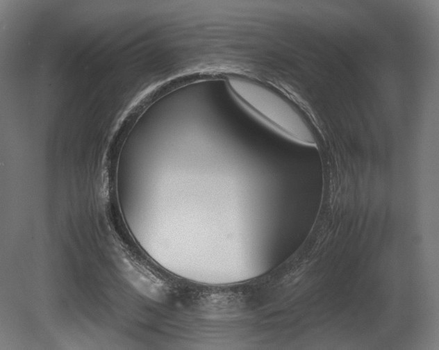 X0000081270584200701111308