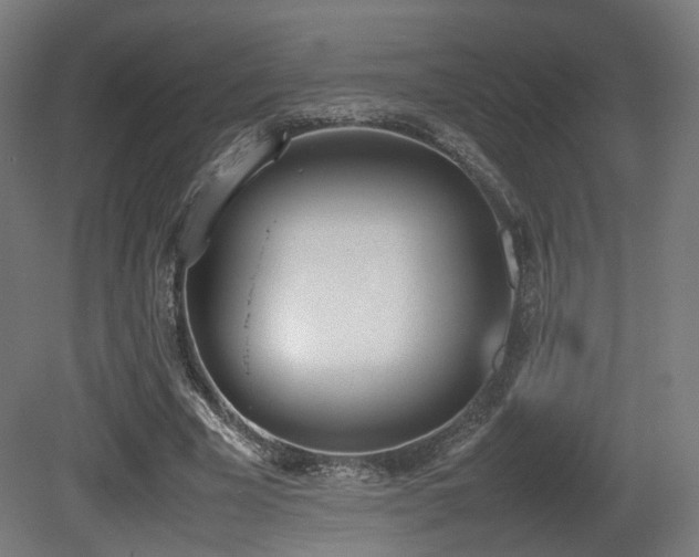 X0000081270585200701111308