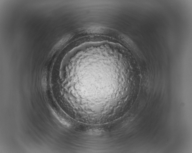 X0000081270586200701111308