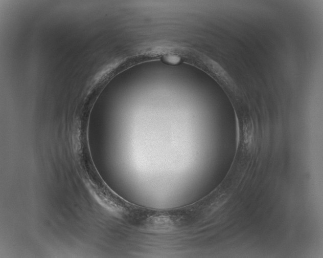 X0000081270588200701111308